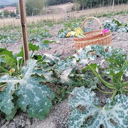 Villa Agriturismo Dei Legi à San Pietro Vara Extérieur photo