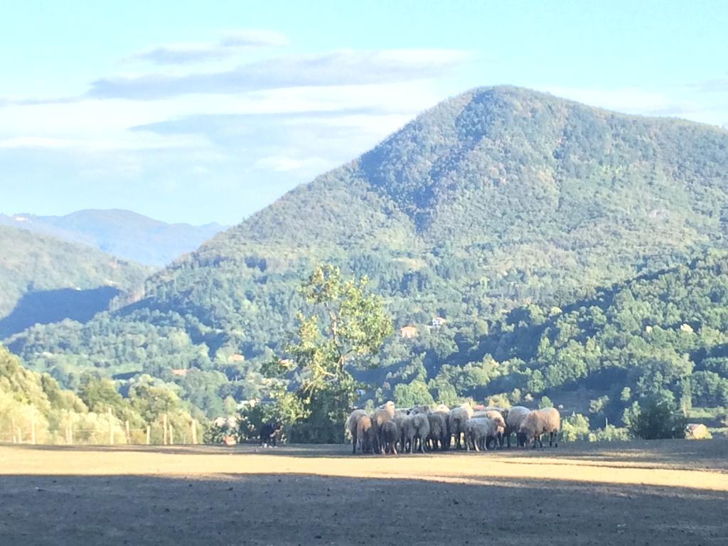 Villa Agriturismo Dei Legi à San Pietro Vara Extérieur photo