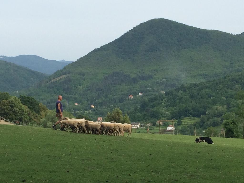 Villa Agriturismo Dei Legi à San Pietro Vara Extérieur photo