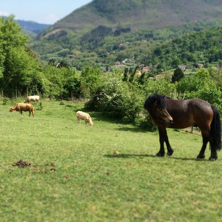 Villa Agriturismo Dei Legi à San Pietro Vara Extérieur photo