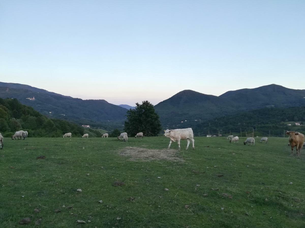 Villa Agriturismo Dei Legi à San Pietro Vara Extérieur photo