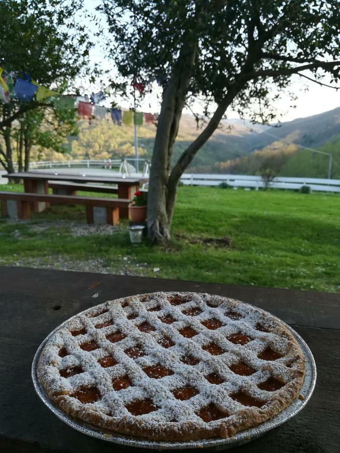 Villa Agriturismo Dei Legi à San Pietro Vara Extérieur photo