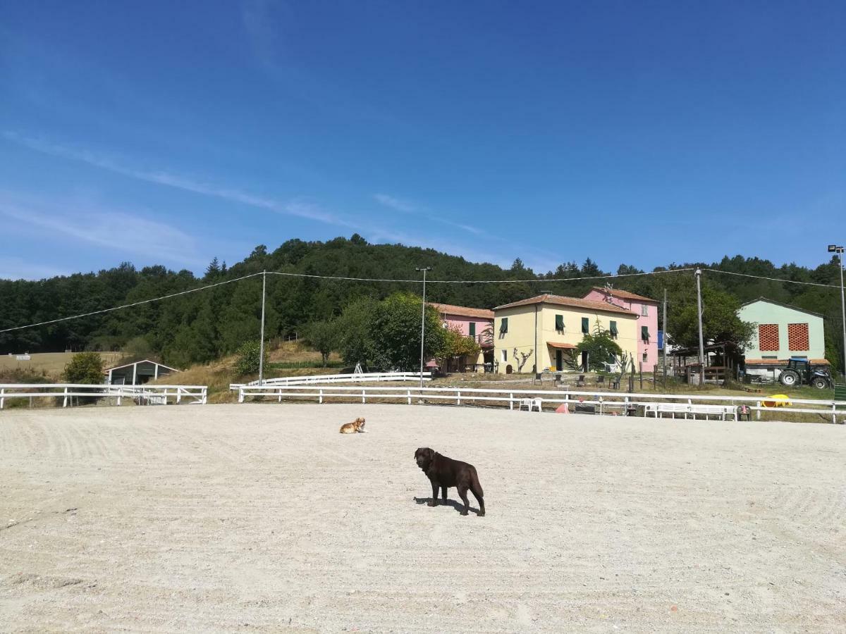 Villa Agriturismo Dei Legi à San Pietro Vara Extérieur photo